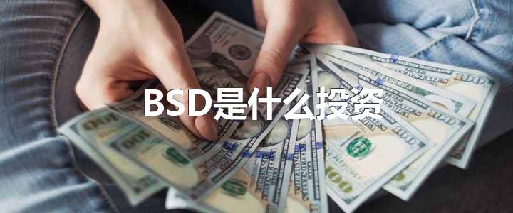 BSD是什么投资